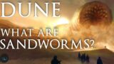 Sandworms – The Gods of Dune Explained | Dune Lore