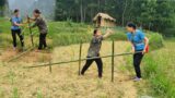 Single mother: The husband's sister used a tree to block the path