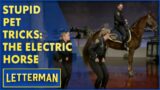 Stupid Pet Tricks: Horse That Dances The Electric Slide | Letterman