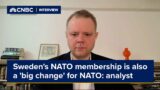 Sweden's NATO membership is also a 'big change' for NATO, analyst says