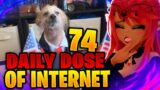 THAT'S A GOOD BOY!! | Daily Dose of Internet Reaction