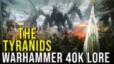 THE TYRANIDS (Bio-Mechanical World Eaters) WARHAMMER 40K LORE EXPLAINED