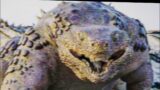 TITANUS DOUG In Godzilla x Kong | Godzilla x Kong New Trailer | GxK Trailer | GxK Monsters