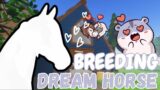 TRYING TO BREED A MIS MATCHED HORSE BUT GOT MY DREAM HORSE INSTEAD | Wild Horse Islands