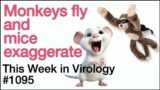 TWiV 1095: Monkeys fly and mice exaggerate