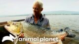 The Biggest Monsters of Season 2 | River Monsters | Animal Planet