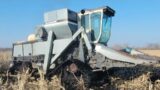 The L2 GLEANER On Steel Tracks Returns To Take On The Cursed 40 It Was A Battle For The Corn!!