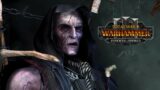 The Potential of Helman Ghorst, Vampire Counts Zombie Spam – Total War: Warhammer 3 Immortal Empires