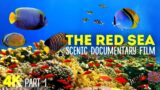 The Red Sea – Incredible Underwater World – 4K Scenic Documentary with Narration – Part 1