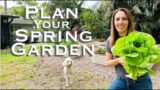 The Ultimate Spring Garden Guide to Plan your Florida Garden