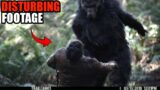 These are the DISTURBING Footage of Mysterious Creatures Captured Randomly That Will Make you SCARED
