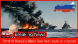 Third of Russia’s Black Sea fleet sunk or crippled