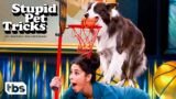 This Dog Dunks a Basketball off of Sarah Silverman’s Back (Clip) | Stupid Pet Tricks | TBS