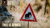 This is Africa | Camping with Elephants in Botswana | AFRICA XOVERLAND S6 EP2