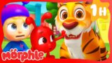 Tiger On the Loose  | Morphle | Rescue Adventures