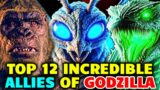 Top 12 Incredible Allies of Godzilla Who Helped Him Win Wars Against More Evil Entities