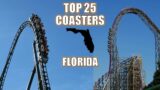 Top 25 Roller Coasters in Florida | Is Iron Gwazi or Velocicoaster Number One?