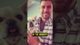 Travis Kelce Caught Playing With Taylor Swift Pets Ahead of Singapore Concert #shorts