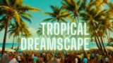 Tropical Dreamscape   #tropicalhousevibes #LushTropicalSounds