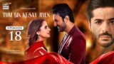 Tum Bin Kesay Jiyen Episode 18 | 1 March 2024 (English Subtitles) ARY Digital