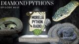 Understanding Diamond Pythons
