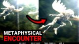 Unveiling Ultra-Clear Trail Cam Footage:  Chilling Encounter Captured