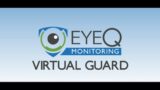 Virtual Guard by EyeQ Monitoring