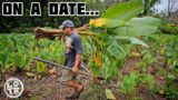 WHAT WIFE THINKS ABOUT OUR PLANTATION CHORES DATE ON NIUE ISLAND | LOVE IT OR???