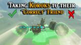 What happens if you take a Korok to the WRONG Friend in Zelda Tears of the Kingdom
