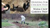 Winter's End, Spring Begins |  Homestead Chores & More – Chickens, Garden, Firewood