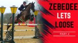 ZEBEDEE LETS LOOSE! | OLD BOY GOES SHOWJUMPING AND DRESSAGE AT CHERWELL PART 2 || VLOG 133