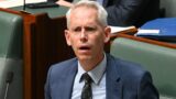 ‘He has to go’: Dan Tehan calls on PM to ‘sack’ Andrew Giles over detainee debacle