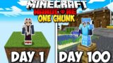 100 Days On One Chunk In Minecraft