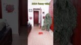 Funny prank try not to laugh ghillie suit troublemaker bushman anaconda snake bhoot wala #shorts
