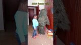 Funny prank try not to laugh ghillie suit troublemaker bushman anaconda snake bhoot wala #shorts