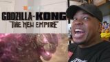 Godzilla x Kong: The New Empire – It Is What It Is – Reaction!