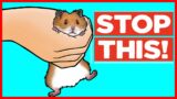 18 Things Hamsters Hate