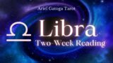 4/4/24  Libra Tarot Reading — Biweekly