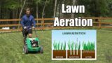 Aerating Lawns When it's Done and Why