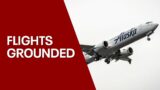 Alaska Airlines flights grounded nationwide