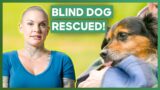 Amanda Rescues Blind Dog From Puerto Rico! | Amanda To The Rescue