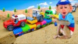 Baby Monkey BiBi go to the rescue, wash the car and rebuild the bridge| ANIMAL SMART BIBI