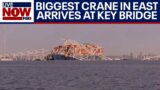 Baltimore bridge collapse: Largest crane on eastern seaboard used to move ship | LiveNOW from FOX