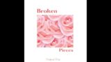 Broken Pieces | Progressive House | EP 5 | Prajwal D'sa | New Song 2024 |