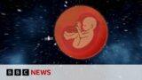 Could we have babies in space? | BBC Ideas
