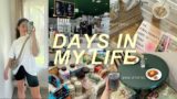 DAYS IN MY LIFE: home updates, birth control chat, grocery haul + meals for the week, job update?!