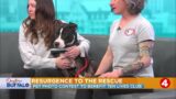 Daytime Buffalo: Resurgence to the rescue | Pet photo contest to benefit Ten Lives Club and CBAS