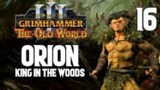 Defence of the Oak – Orion #16 Finale – The Old World Campaign – SFO: Grimhammer 3
