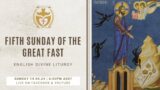 Divine Liturgy (English) | 14.04.2024 Fifth Sunday of The Great Fast