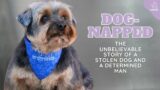 Dog-Napped: The Unbelievable Emotional Story of a Stolen Dog and a Determined Man